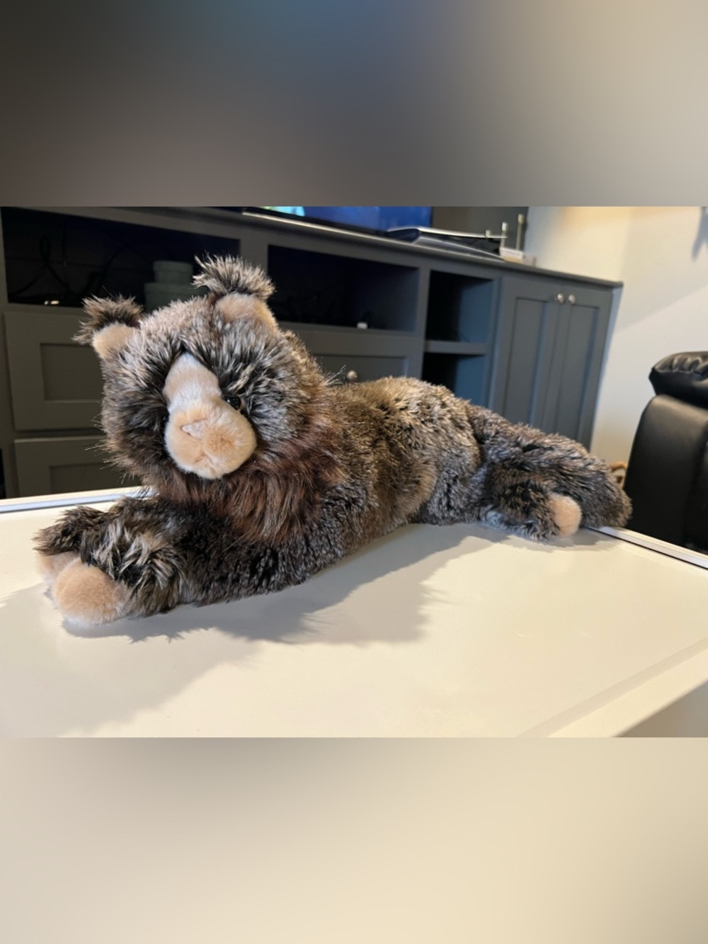 Douglas Oscar DLux Maine Coon Cat 20” Plush Stuffed Animal Cuddle Toy #2473
